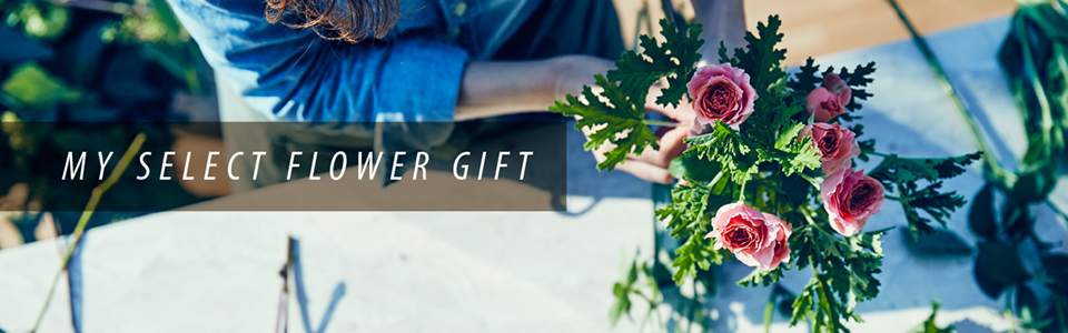 花と緑のカタログギフト マイセレクト